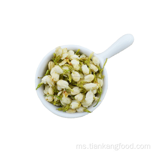 Premium Tinggi Bunga Jasmine Bunga